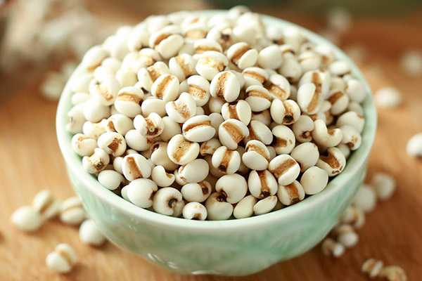 薏米的功效与作用及禁忌