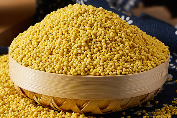 黄米的功效与作用及禁忌