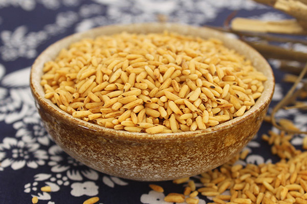 糙米的功效与作用及禁忌