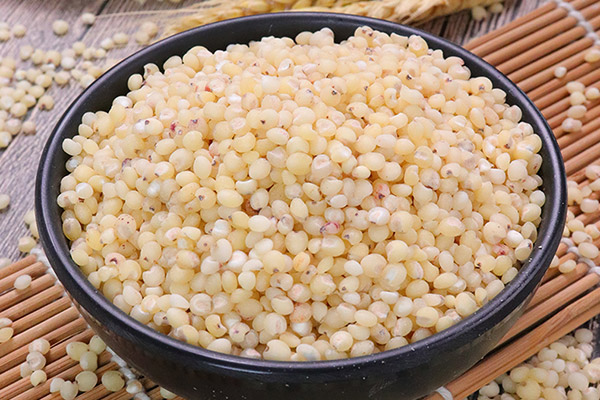 高粱的功效与作用及禁忌