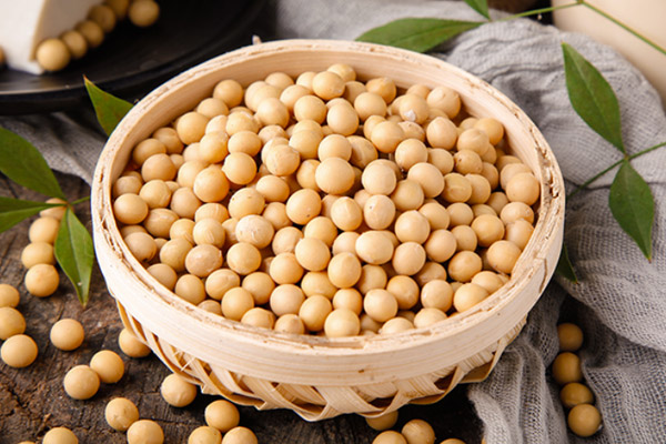 黄豆的功效与作用及禁忌