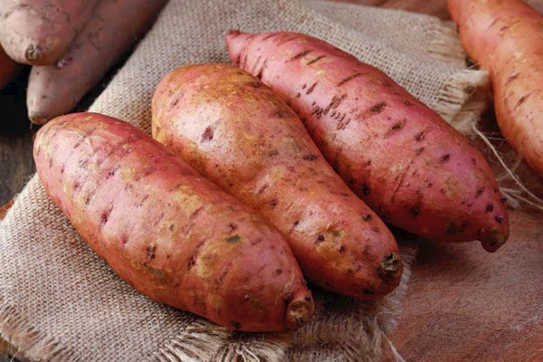 红薯的功效与作用及禁忌