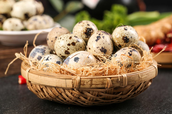 鹌鹑蛋的功效与作用及禁忌