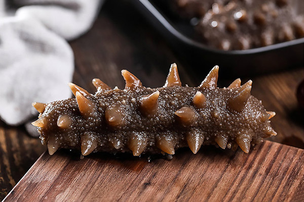 海参的功效与作用及禁忌