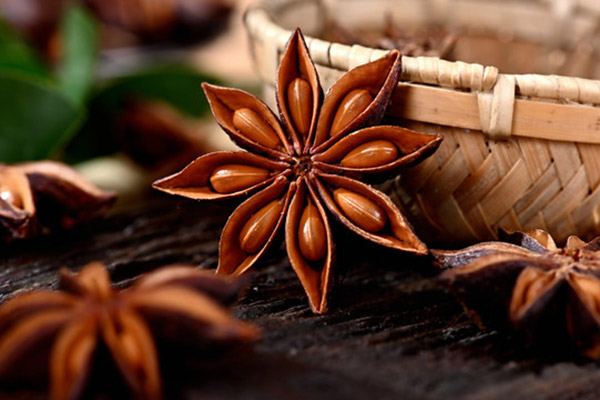 八角的功效与作用及禁忌